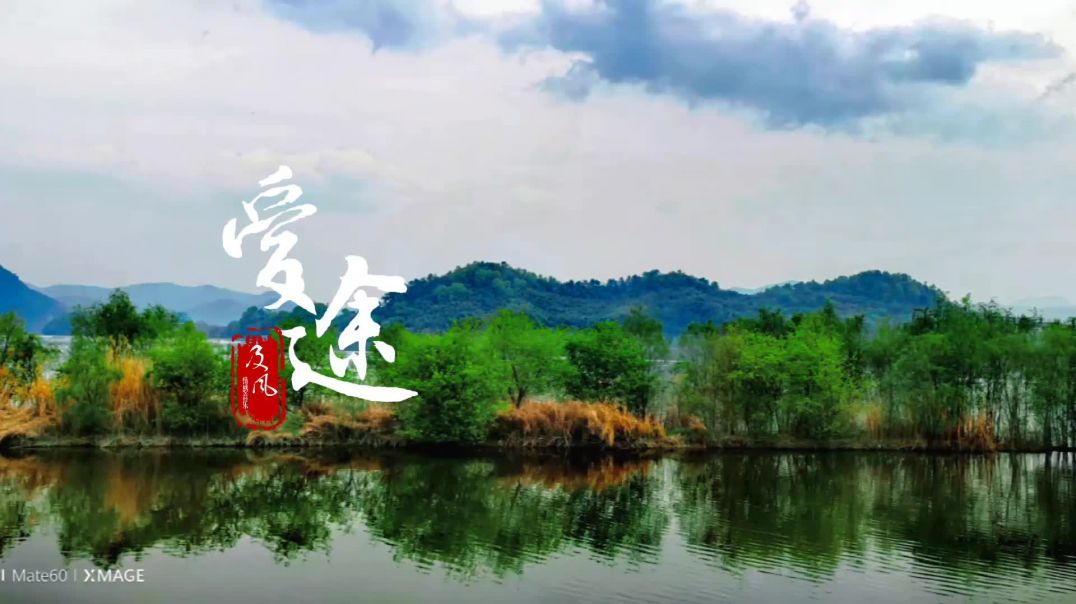 杭州水上森林